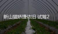 新山貓矯捷依舊 試駕2018款三菱帕杰羅