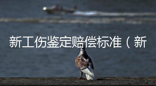 新工傷鑒定賠償標準（新工傷鑒定標準）