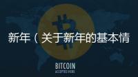 新年（關于新年的基本情況說明介紹）