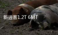 新逍客1.2T 6MT首試：齋而不Dry 可以Buy