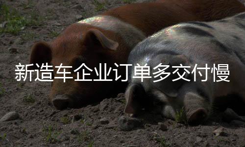 新造車企業(yè)訂單多交付慢 新品牌嘗鮮難