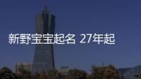 新野寶寶起名 27年起名經(jīng)驗(yàn) 國學(xué)起名新勢力