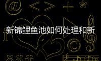 新錦鯉魚池如何處理和新舊錦鯉河池的情況說明