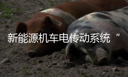 新能源機車電傳動系統(tǒng)“新”在哪兒