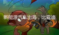 新能源汽車(chē)出海，比亞迪遞出“中國(guó)名片”