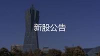 新股公告