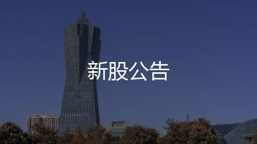新股公告