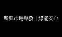 新興市場爆發「綠能安心」商機【2012天下經濟論壇】｜天下雜誌