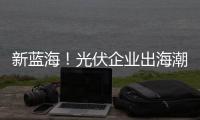 新藍(lán)海！光伏企業(yè)出海潮,經(jīng)驗(yàn)交流