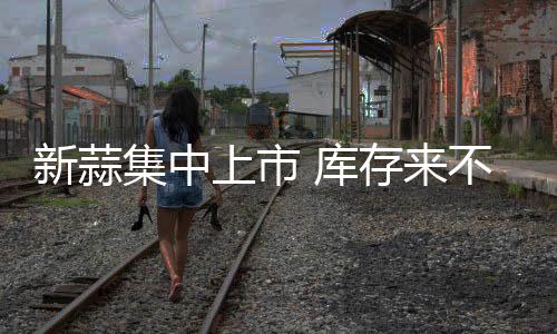 新蒜集中上市 庫存來不及出清