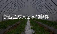 新西蘭成人留學的條件 大齡留學新西蘭