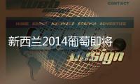 新西蘭2014葡萄即將大豐收，重臨供過于求之危？