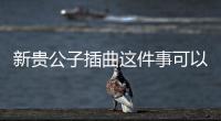 新貴公子插曲這件事可以這樣理解嗎?