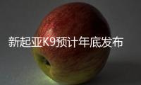 新起亞K9預計年底發布 尺寸/軸距或加長
