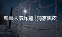 新豐人氣炸雞│獨(dú)家黑皮雞腿香脆無比 加點(diǎn)銅板價(jià)小點(diǎn)更滿足