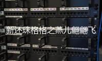 新還珠格格之燕兒翩翩飛20集劇情詳細介紹