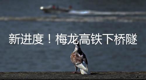 新進度！梅龍高鐵下橋隧道順利貫通