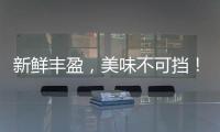 新鮮豐盈，美味不可擋！發(fā)財(cái)雨芝士奶昔更好喝，更好鋪貨！