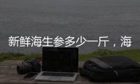 新鮮海生參多少一斤，海生多少錢一斤