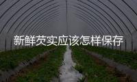 新鮮芡實應(yīng)該怎樣保存
