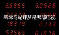 新鴛鴦蝴蝶夢是哪部電視劇主題曲