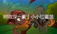 時政深一度丨小小紅薯苗 致富新“薯”光