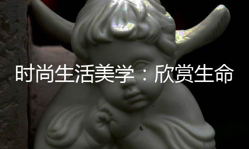時(shí)尚生活美學(xué)：欣賞生命這趟旅程沿途獨(dú)特的風(fēng)景（圖）