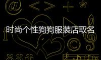 時尚個性狗狗服裝店取名,狗狗服裝批發