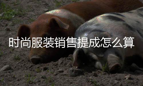 時尚服裝銷售提成怎么算(服裝銷售提成一般是多少)