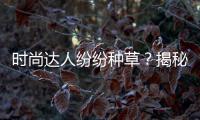 時尚達人紛紛種草？揭秘男褲專家九牧王聯名款小黑褲為何倍受追捧
