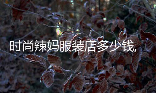 時尚辣媽服裝店多少錢,時尚辣媽服飾