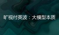 曠視付英波：大模型本質上是深度學習浪潮的延續 走向實體產業是必然的