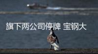 旗下兩公司停牌 寶鋼大手筆擴張現后遺癥