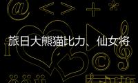 旅日大熊貓比力、仙女將提前回國 因健康問題