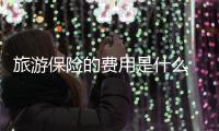 旅游保險(xiǎn)的費(fèi)用是什么 旅游保險(xiǎn)是屬于什么保險(xiǎn)