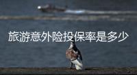 旅游意外險投保率是多少啊