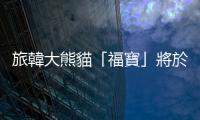 旅韓大熊貓「福寶」將於4月初回國(guó)　韓國(guó)民眾不舍