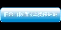 舊金山將通過鳥類保護玻璃使用條例,政策解讀