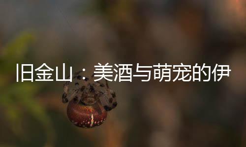 舊金山：美酒與萌寵的伊甸園