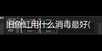 舊魚缸用什么消毒最好(舊魚缸重新開缸消毒)