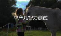 早產兒智力測試