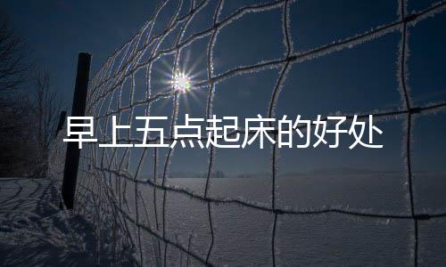 早上五點起床的好處