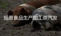 旭恩食品生產加工蒸汽發生器