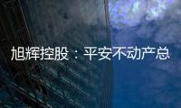 旭輝控股：平安不動產總經理蔣達強接替王威出任公司非執董
