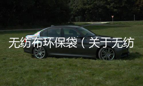 無紡布環(huán)保袋（關(guān)于無紡布環(huán)保袋的基本情況說明介紹）