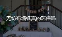無(wú)紡布?jí)堈娴沫h(huán)保嗎