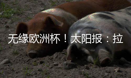 無(wú)緣歐洲杯！太陽(yáng)報(bào)：拉什福德對(duì)落選歐洲杯初選名單感到震驚