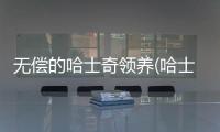 無償的哈士奇領養(哈士奇不二免費閱讀)