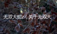 無雙大蛇z（關于無雙大蛇z的基本情況說明介紹）