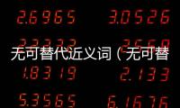 無可替代近義詞（無可替代）